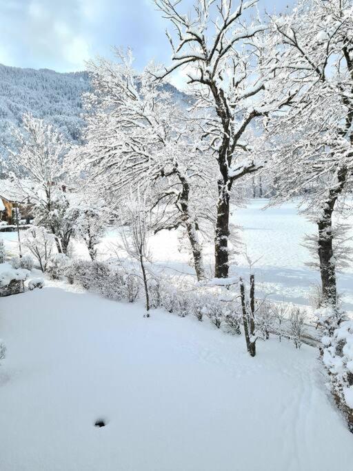 Appartement Le D12 Samoëns Εξωτερικό φωτογραφία