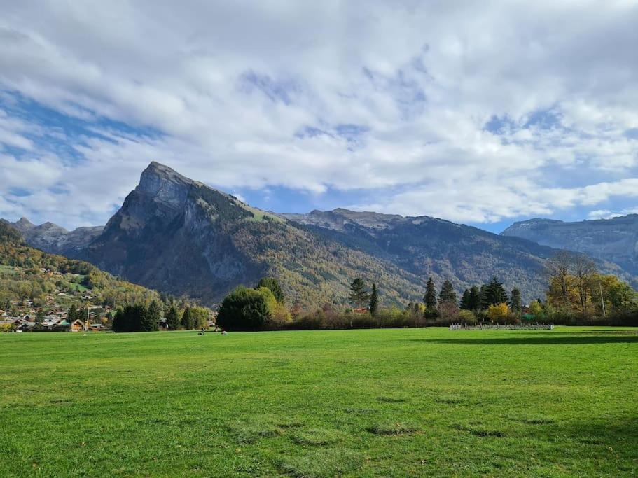 Appartement Le D12 Samoëns Εξωτερικό φωτογραφία